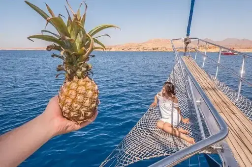 Snorkeling trip to Ras Mohamed & The White Island aboard Luxury Yacht 