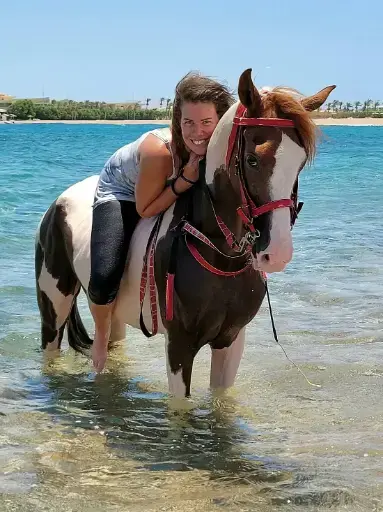 Passeggiata a cavallo a Sharm El Sheikh